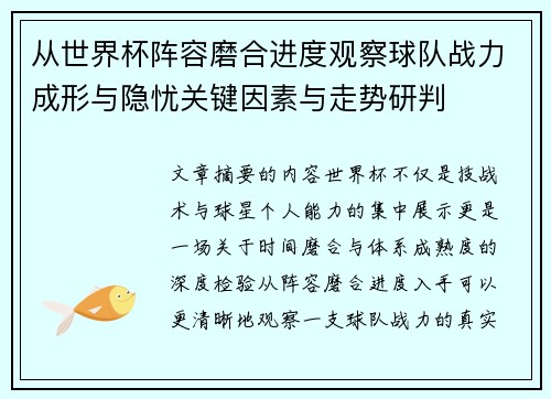 从世界杯阵容磨合进度观察球队战力成形与隐忧关键因素与走势研判