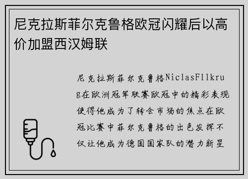 尼克拉斯菲尔克鲁格欧冠闪耀后以高价加盟西汉姆联 尼克拉斯菲尔克鲁格欧冠闪耀后以高价加盟西汉姆联