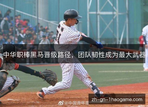 中华职棒黑马晋级路径，团队韧性成为最大武器